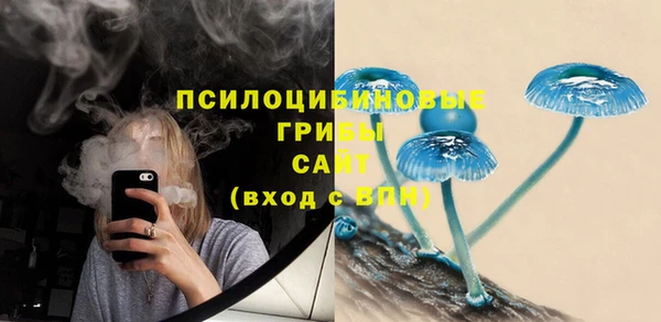 марки nbome Бородино