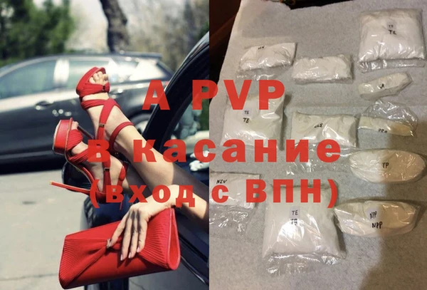 твердый Беслан