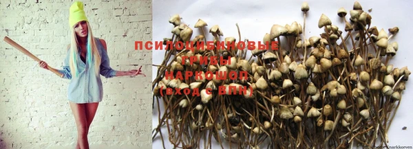 ALPHA PVP Нефтегорск