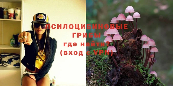 альфа пвп Билибино