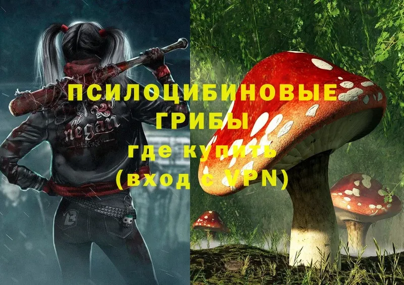 Псилоцибиновые грибы Cubensis  сколько стоит  мега ссылка  Полярный 